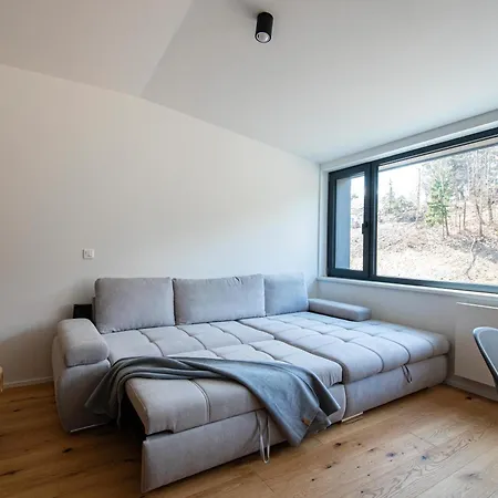 Apartment Ski&bike Horsky 502