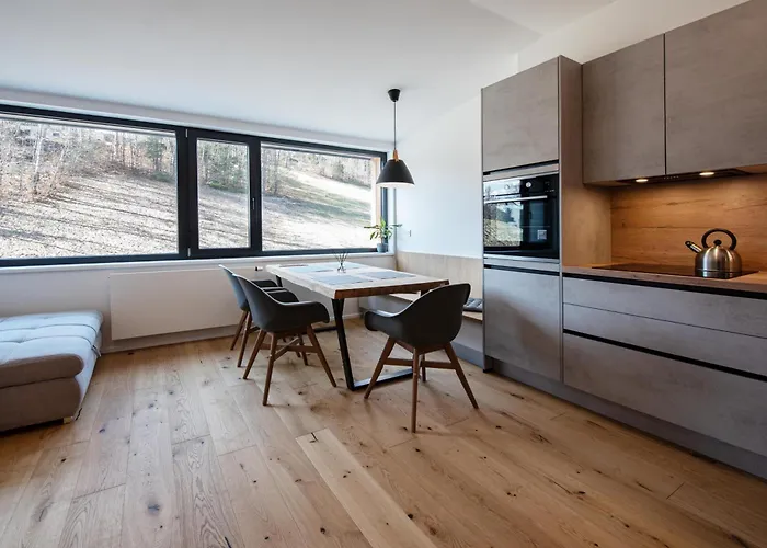 Apartament Ski&bike Horsky 502 *